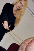 alphachicks.com image